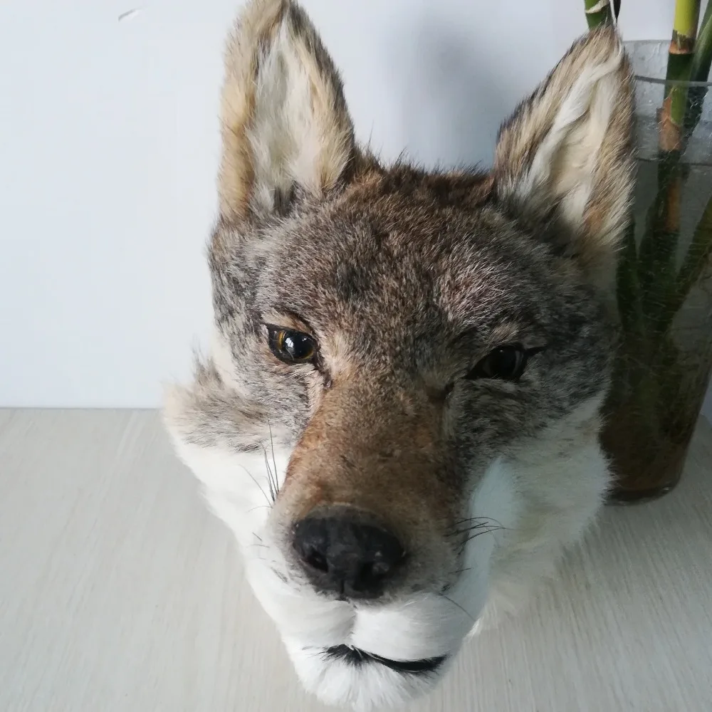 new real life polyethylene&furs wolf 's head model  wall pandent handicraft prop about 30x25cm