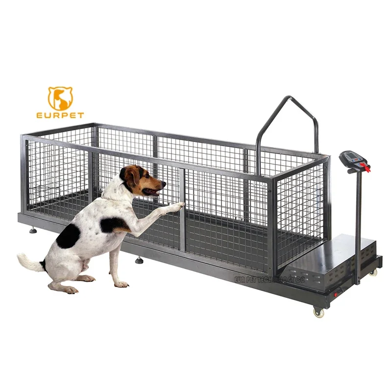 Dog Sport Equipment for Pet Exercise and Losing Weight Dog Training Treadmill for Medium and Large Dog