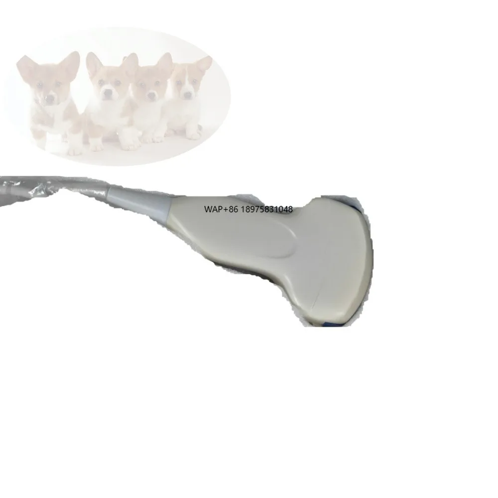 Dog, cat and sheep veterinary diagnostic ultrasonic convex probe transducer