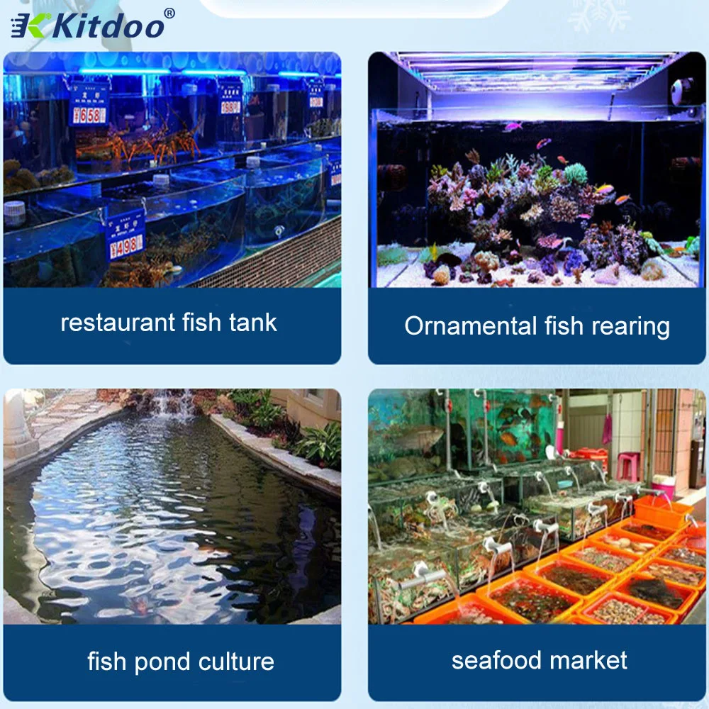 Restaurant Water Tank Chiller Seafood Cooler and Heater Seawater Chiller for Fish Farming Aquaculture 5