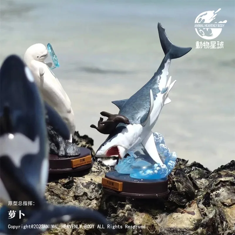 Original Animal Planet Qversion Ocean Killer Whale Polar Bear Sperm Whale Anime Action Figure Model Toy Gift Collection Ornament