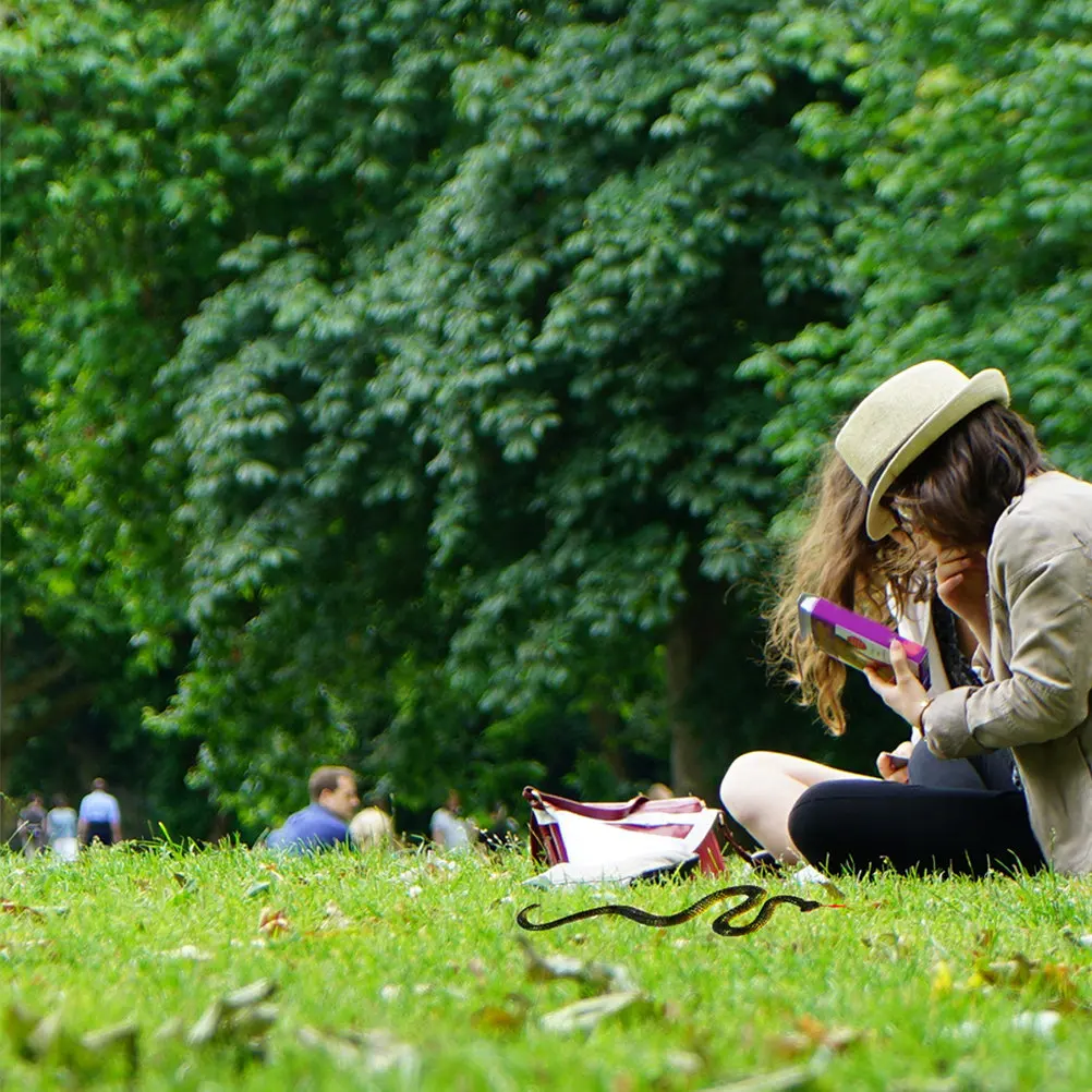 

2 шт. Реалистичные змеи-украшения для Хэллоуина, реквизит для розыгрышей, декор для сада, спальни, игровой комнаты, яркие, как живые, с реалистичными движениями