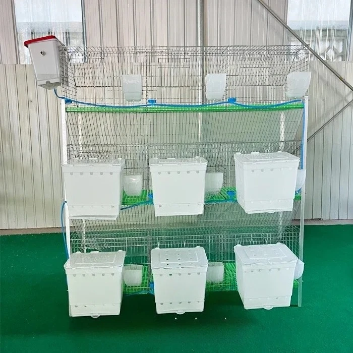 

Rabbit farming meat rabbit house breeding 24 doors cells commercial rabbit cages