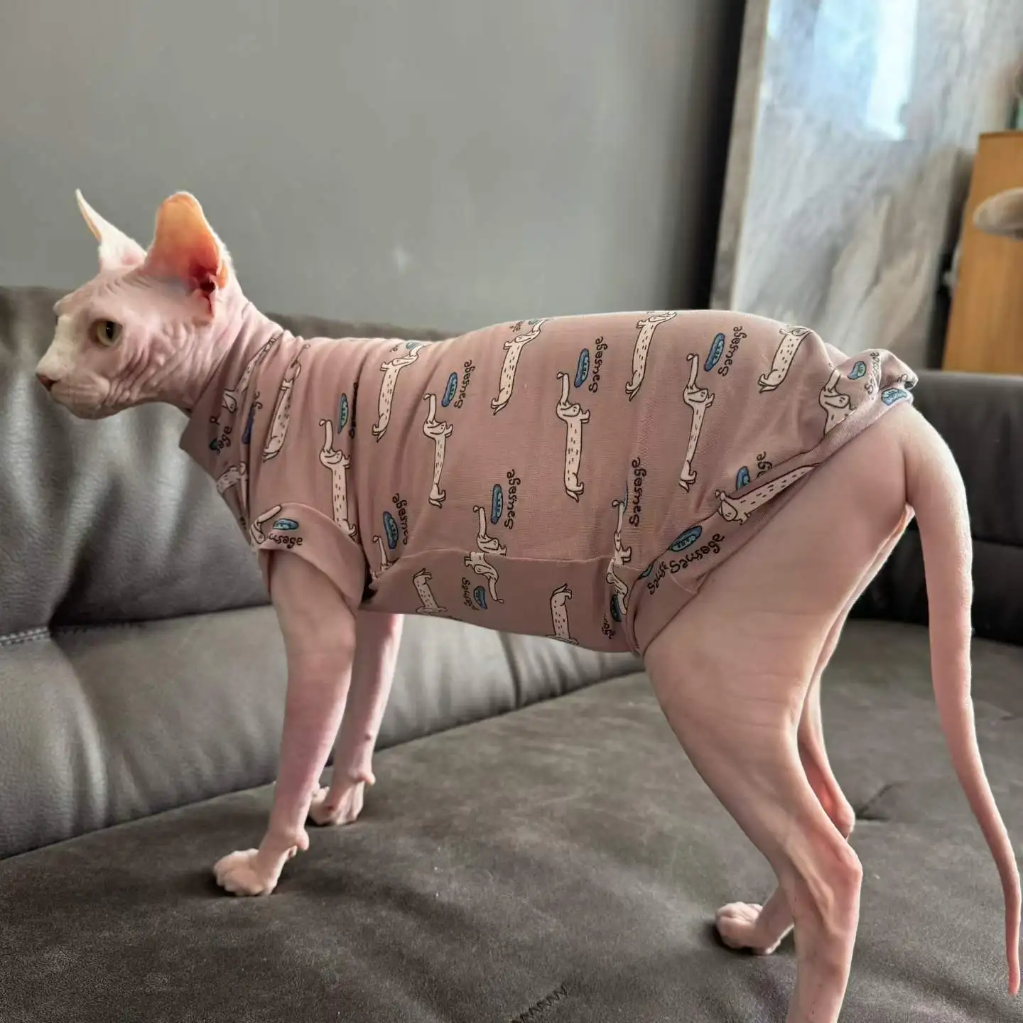 Sphynx Cat Cartoon Cotton T-shirt Summer Soft Sleeveless Cute Vest Hairless Cat Clothes Belly‑Protective Pet Spring Bodysuit
