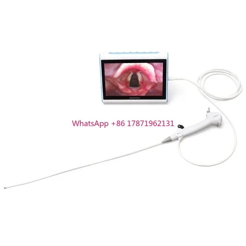 BESDATA 2023 New Hospital Portable Low Price ENT Flexible Endoscope Instrument Digital Video Bronchoscope with HD Medical Screen