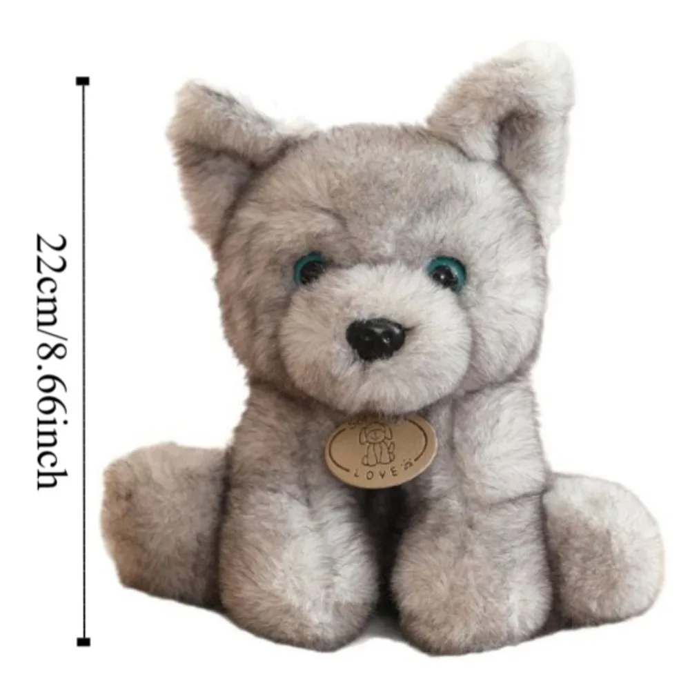 Duży Pluszowy Pies z Dużymi Uszami, Siedzący, Pies Wilczo-Sznaucerzy, Husky, Pluszowa Lalka 22cm, Puszysta Poduszka w Kształcie Psa dla Dzieci, Dekoracja Pokoju