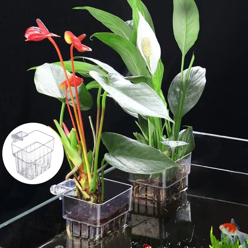 

Multifunctional Fish Aquarium Water Acrylic Planting Cup Breeding Isolation Box Fish Tank Hydroponic Plant Fish Tank Landscaping