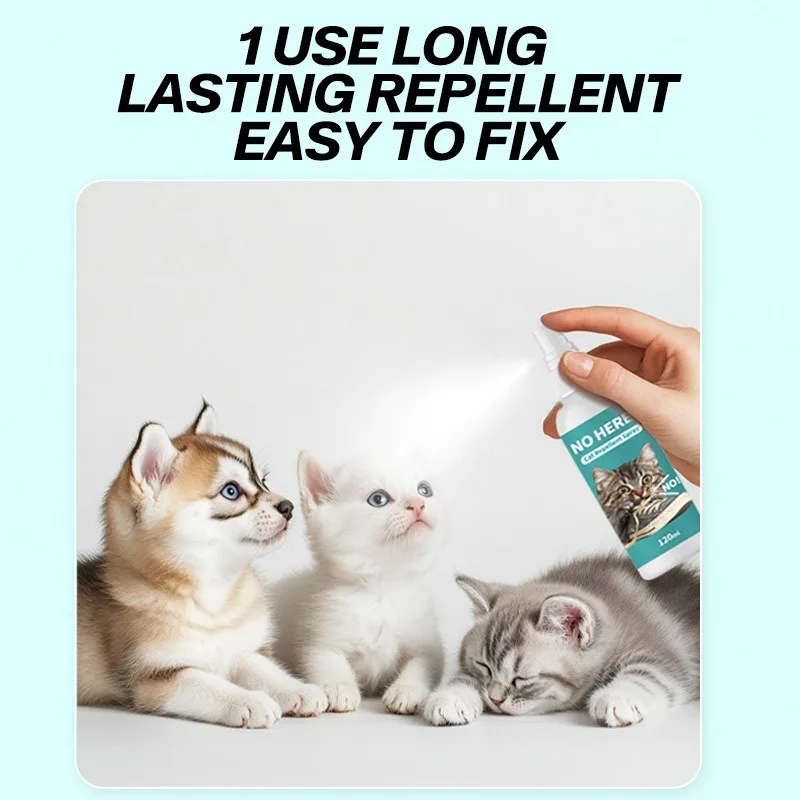 Thumbnail 3 - #32 Discounted Cat Furniture Worth Buying