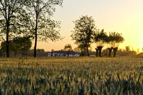 

iFlight CineFlow 5 Replacement Parts for FPV Drone Frame Accessories