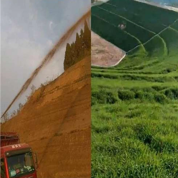 آلة البناء الزراعية Hydroseeding سعة 2000 لتر، تصميم مضخة محرك الديزل المتين للاستخدام المزرعي، بيع المصنع مباشرة