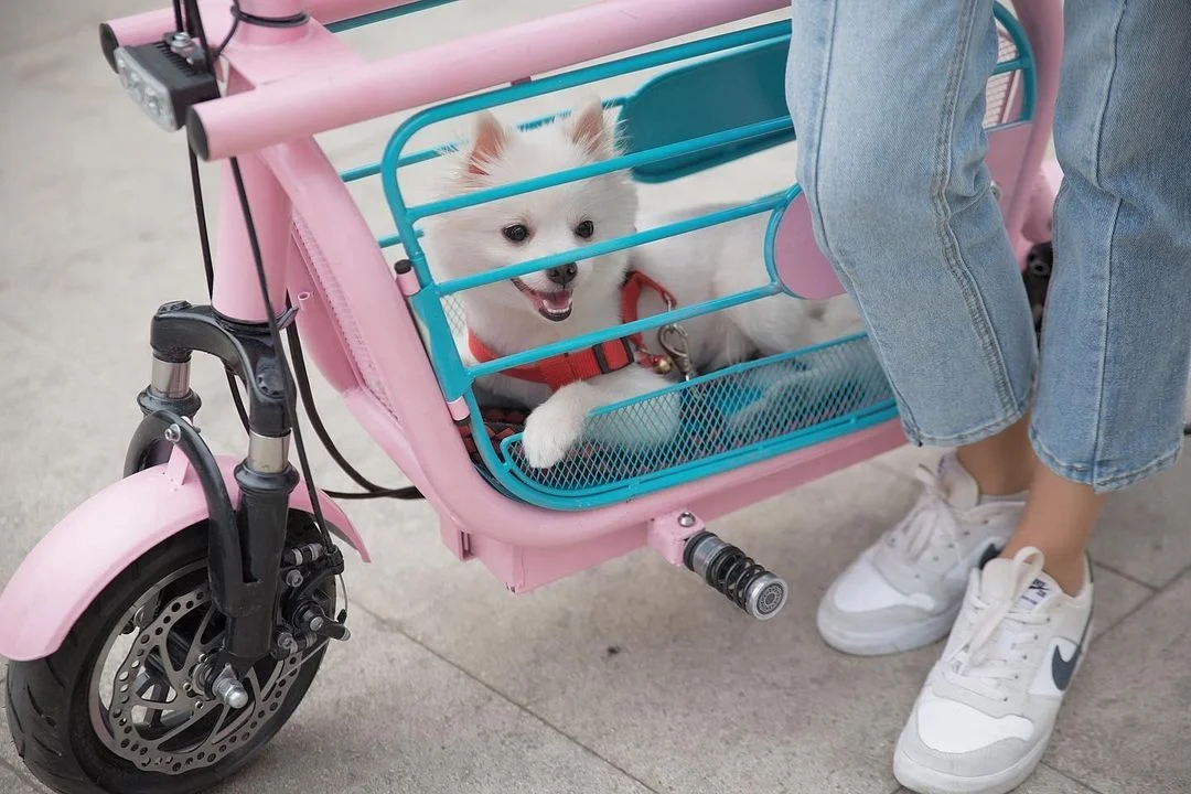 350W-2000W Electric Scooter Pet Dog and Cat Pet Bicycle Pet Scooter Electric Urban Coco Helicopter Motorcycle Dog Car
