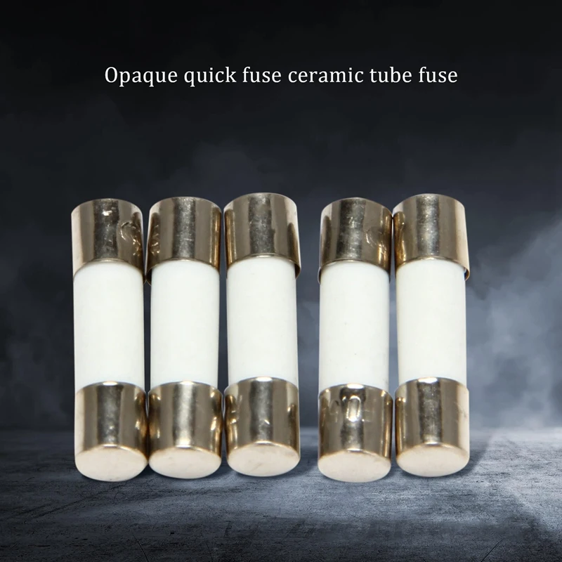 10Pcs 250V 0.5A 500mA Fast Blow Ceramic Fuses Tubes 5mm x 20mm