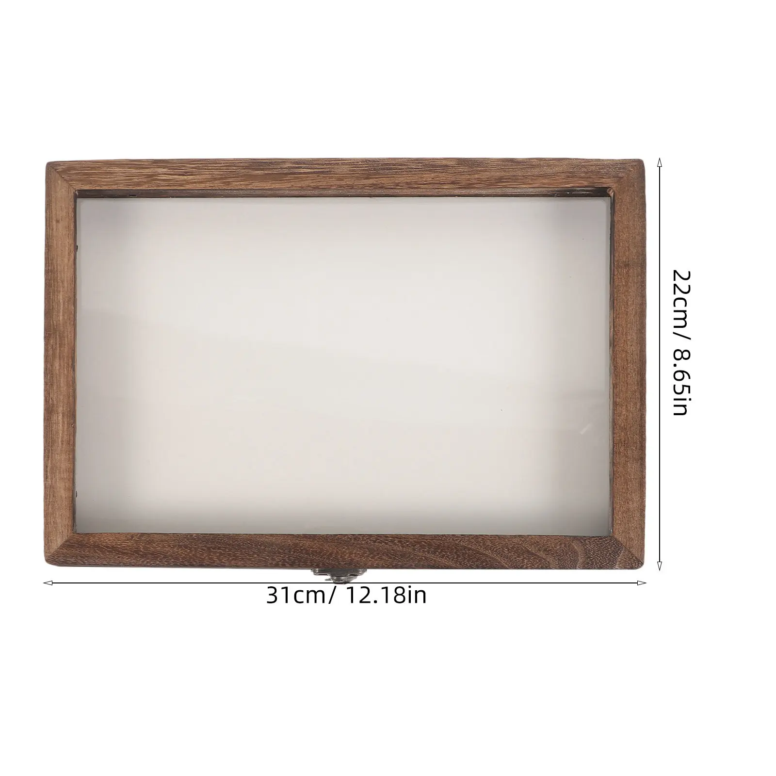 1 Set Insect Display Case Wooden Bug Collection Box Insect Case Bug Collection Display Butterfly Boxes Specimen Collector Beetle