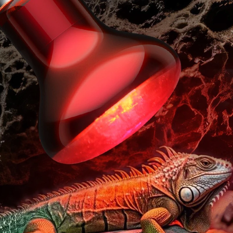 

220V Reptile Turtle Heating Bulb E27 Infrared Basking Spot Lamp Amphibian Gecko Lizard 25W/50W/100W Reptile Bulbs terrarios