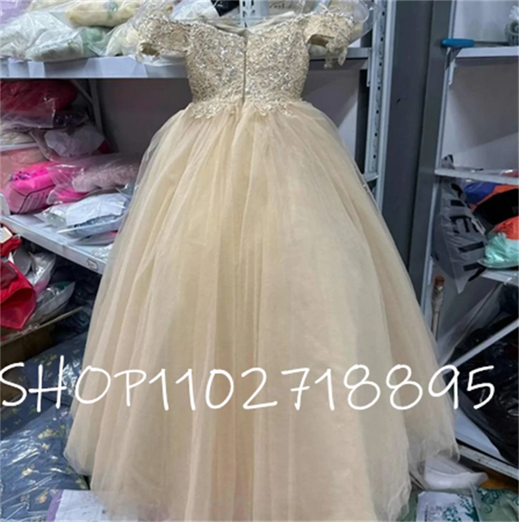 

Champagne Flower Girl Dress Pearl Lace Princess Dress for Girl Sleeveless First Communion Dresses Child Wedding Party Dress