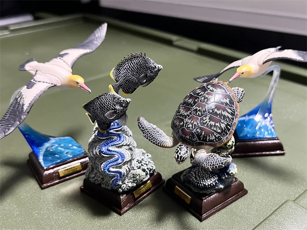 In Stock Kitan Ikimon Ntc The Ogasawara Marine Animals Special