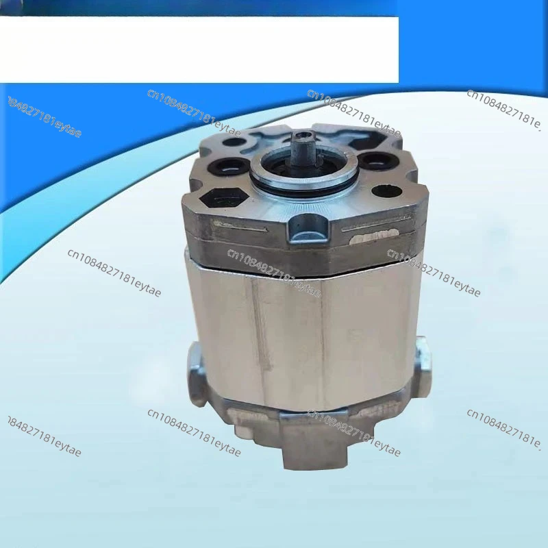 Mi-cro bidirectional gear pu-mp CB-E1. 5ST E1. 75 E0. 75 E1. 25 0. 63 F2. 1F3. 2