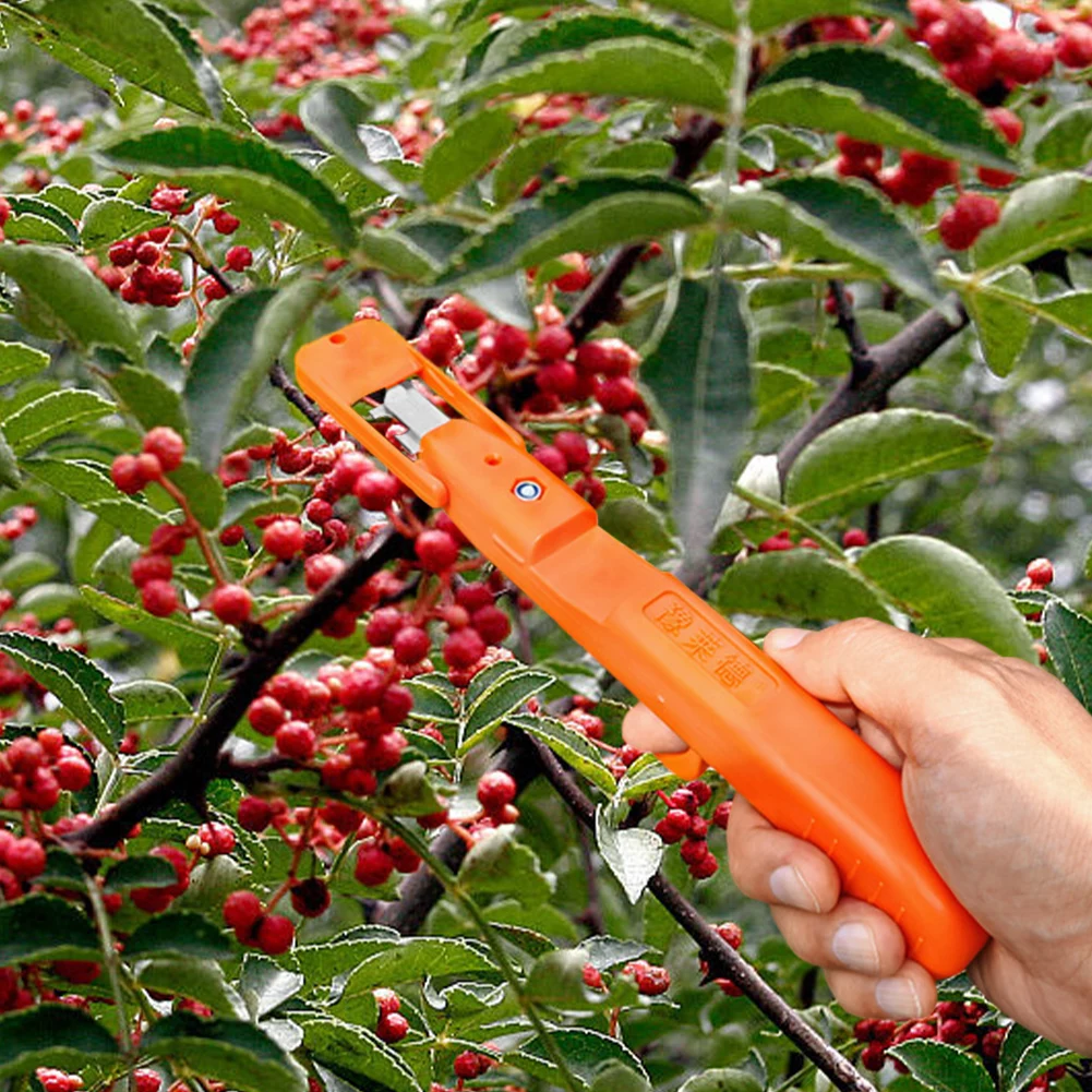 Druivenplukgereedschap Multifunctionele kleine fruitpluktrimmer Ergonomische peperbloemtak Schaar Tuinbenodigdheden