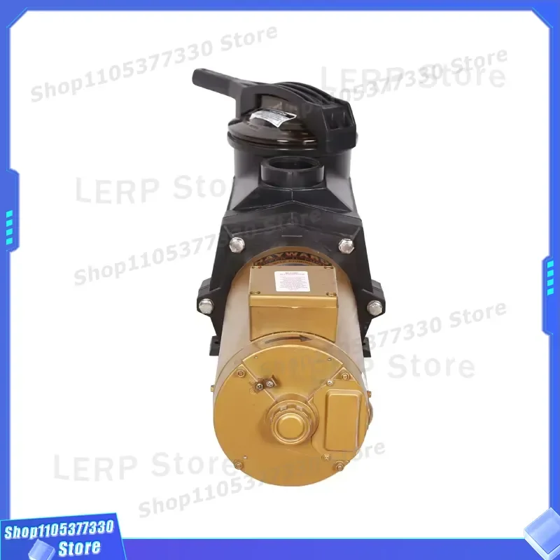 High Power Variable Speed Swimming Pool Pump 220V 240V 50Hz 60Hz Efficient Water Circulation Motor for Inground Pools