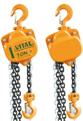 

Kyoto Chain Hoist 500kg Manual Price