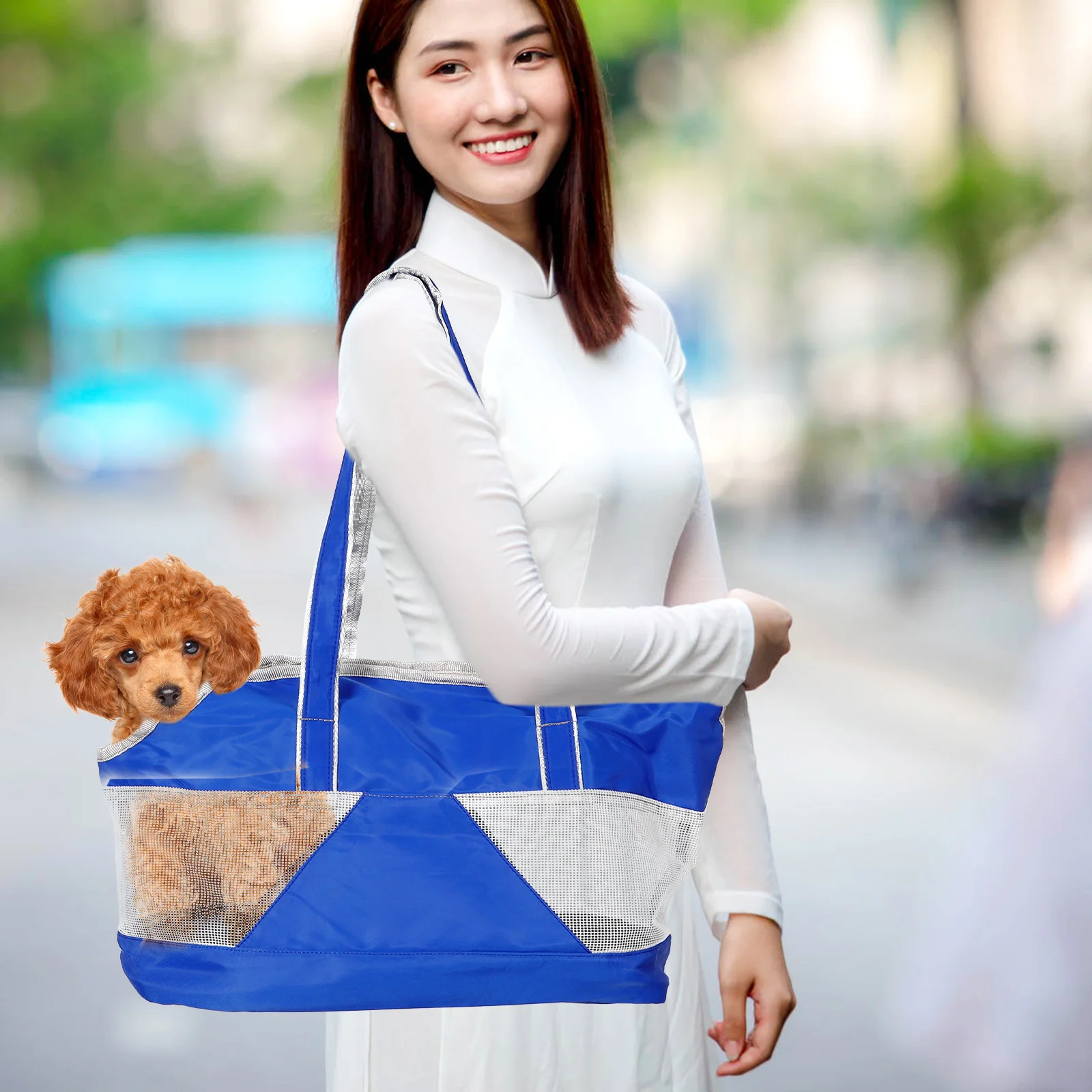 Convenient Pet Carrier Portable Mesh The Large Tote Bag Bag Foldable Bunny Puppy The Large Tote Bag