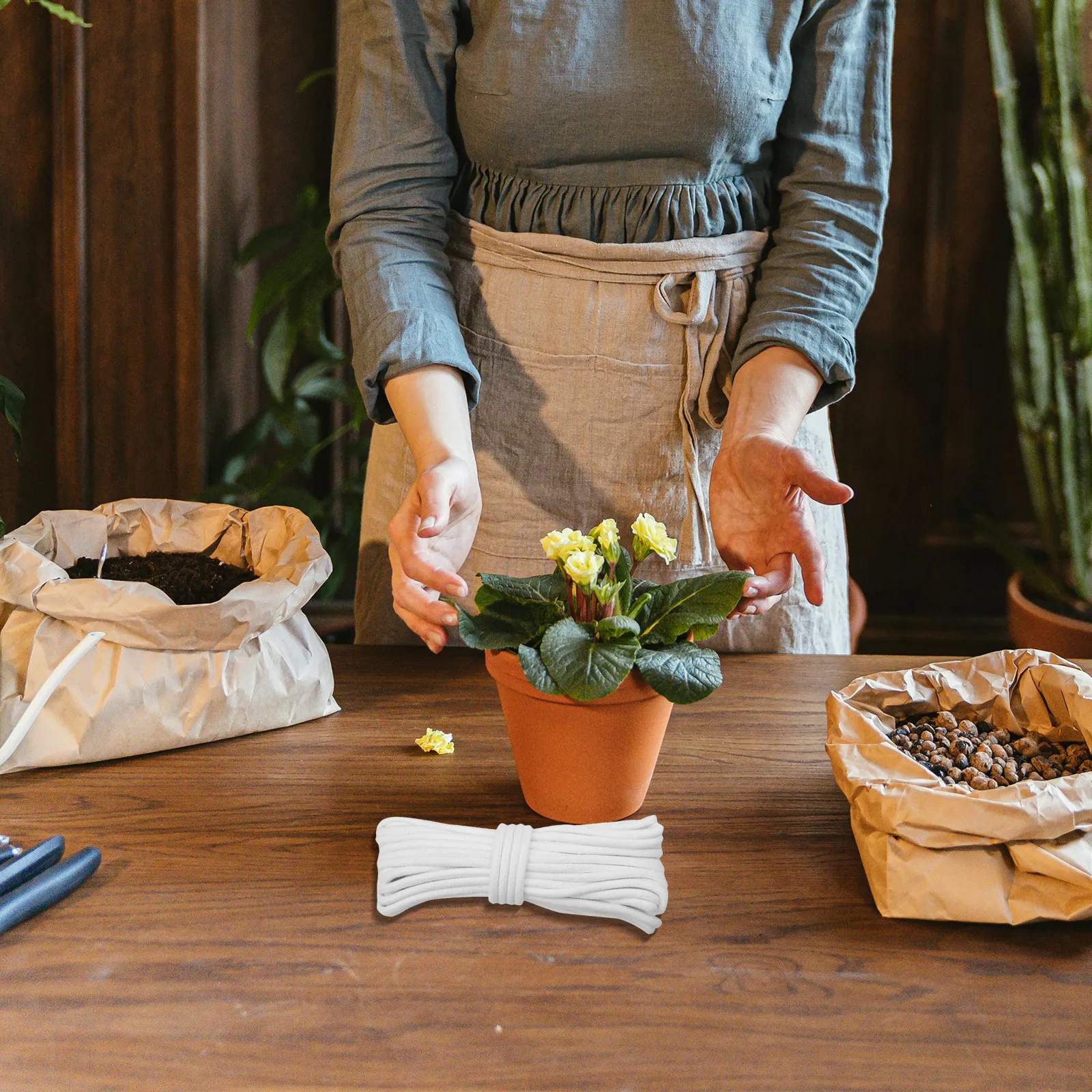 

Self Cotton Cord Long - Braided Absorbent Rope for Auto Irrigation System DIY Plant Waterer Indoor Balcony