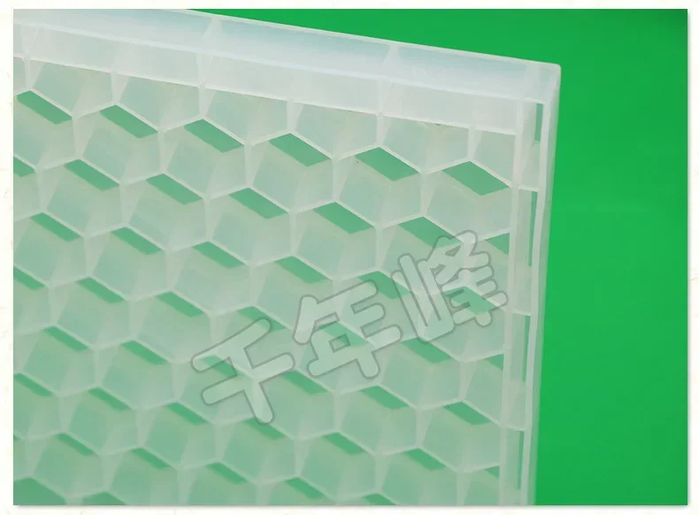 A 1PCS Plastic Honey Bee Pollen Feeder Porous Feeder Honey Bee Feeder Bee Beekeeping