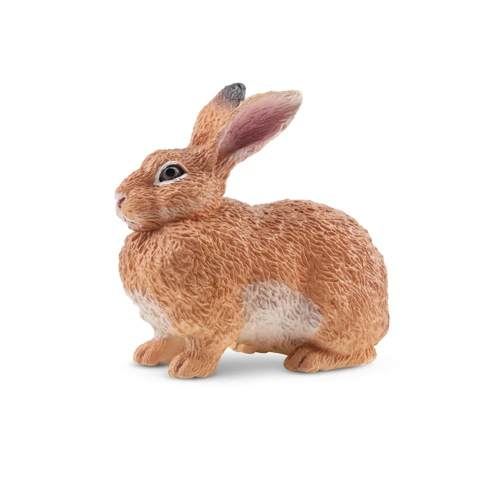 Toymany Symulacja Flemish Giant Rabbit Wildlife Animal Model Zabawka Mini Figurki Lalki Figurki Zabawki Prezent Dla Dzieci