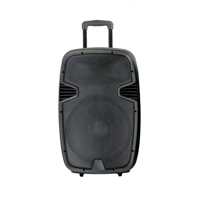 

Portable Speaker Rechargeable Trolley Speaker DJ Stage Music Subwoofer Speaker With Battery