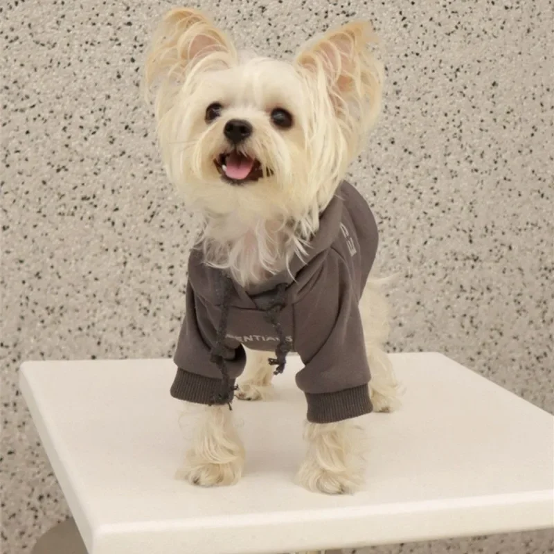 Dog Hoodies Letter Fleece Lined Designer Dog Clothes Puppy Sweatshirt Soft Warm Sweater Clothes for Small Dogs Poodle Maltese