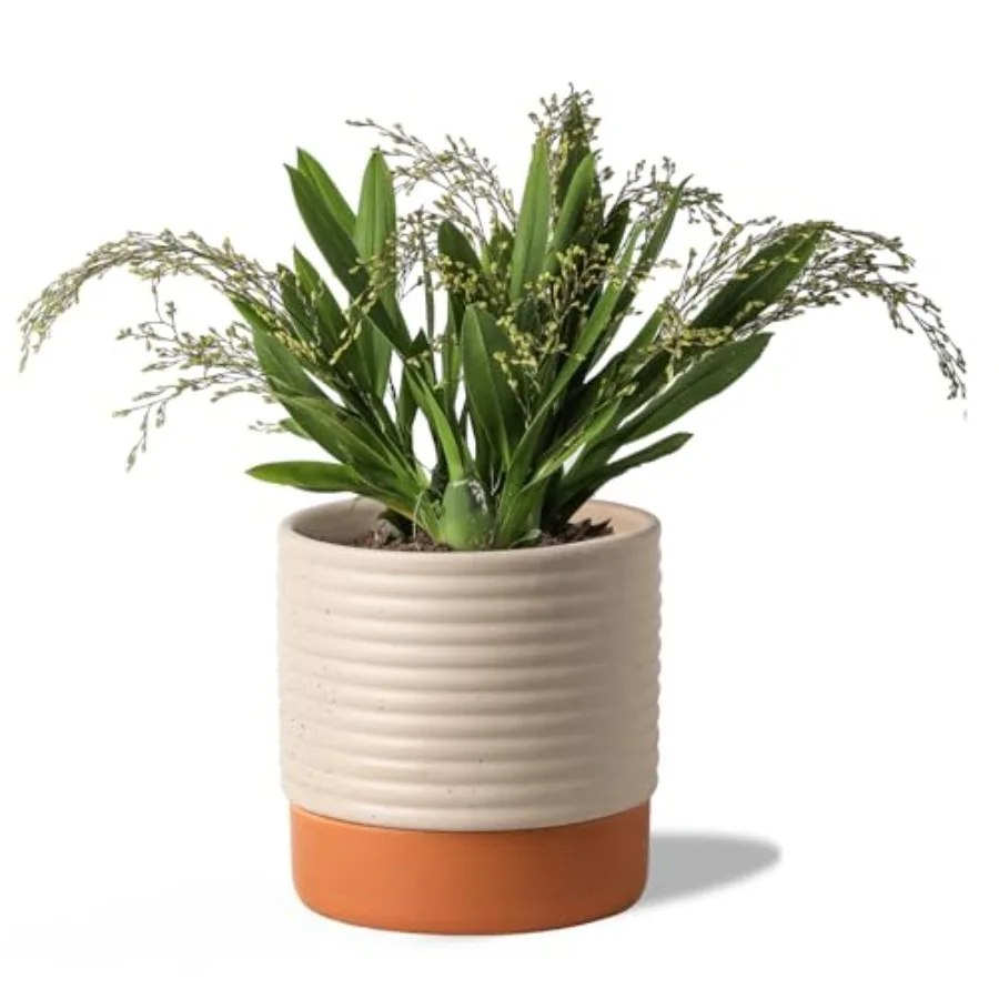 8 Inch Ceramic Self Watering Planter with Drainage Hole, Indoor Plant Pot with Water Storage Plus - for African Violet, Herbs a