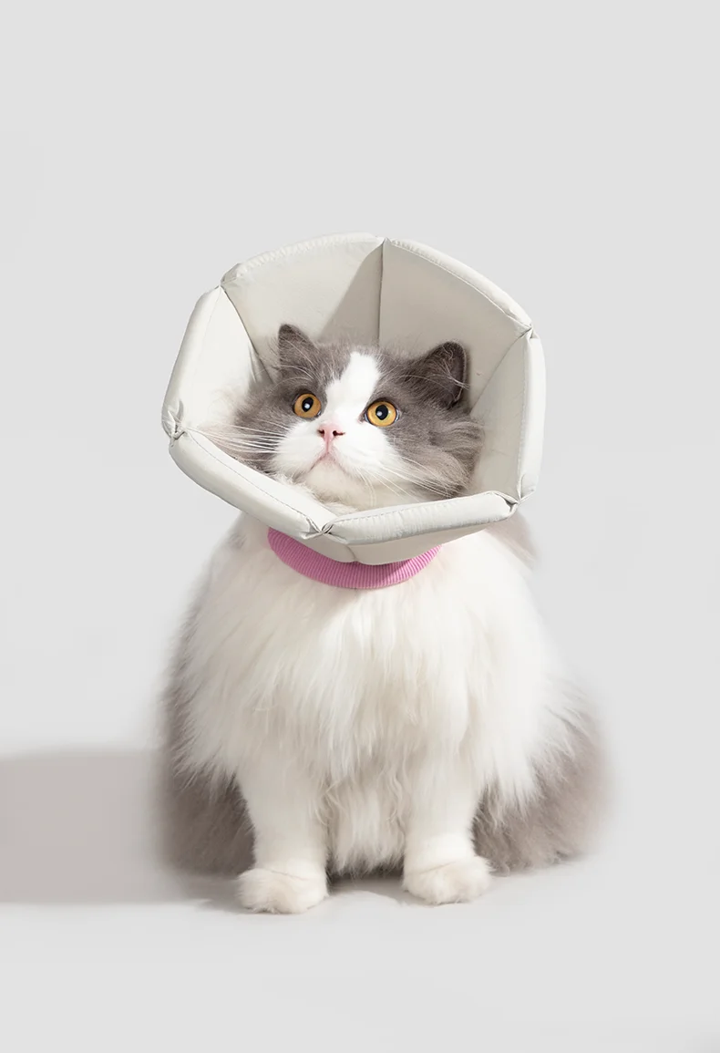 Pet Cat And Dog Elizabeth Circle Anti-lick Ring Pet Sponge Cone Anti-bite Head Cover Cone