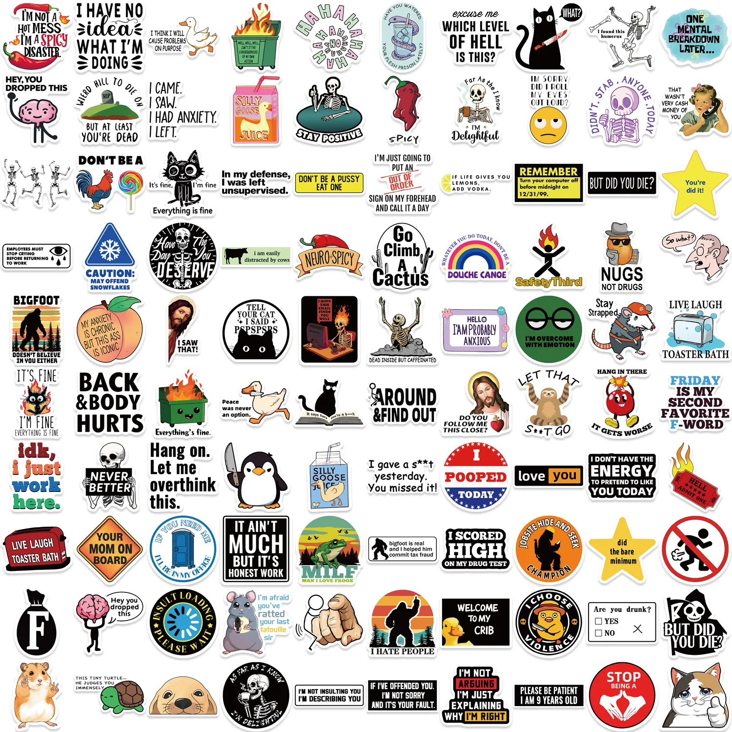 50/100 Stück lustige Aufkleber für Erwachsene, Wasserflaschen-Aufkleber-Set, wasserfeste Aufkleber, Laptop, Schutzhelm, sarkastische Aufkleber