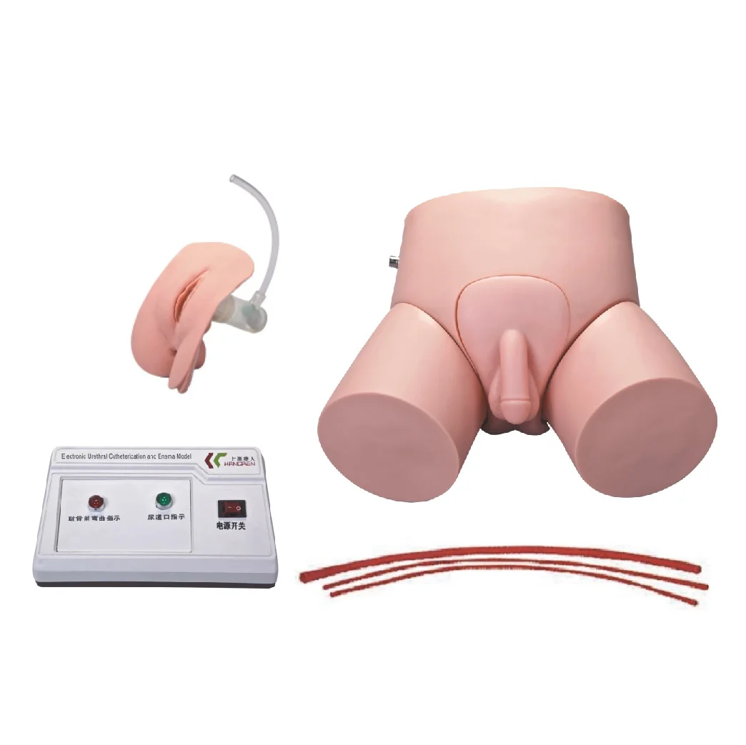 H-D Electronic Urethral Catheterization and Enema Training Manikin