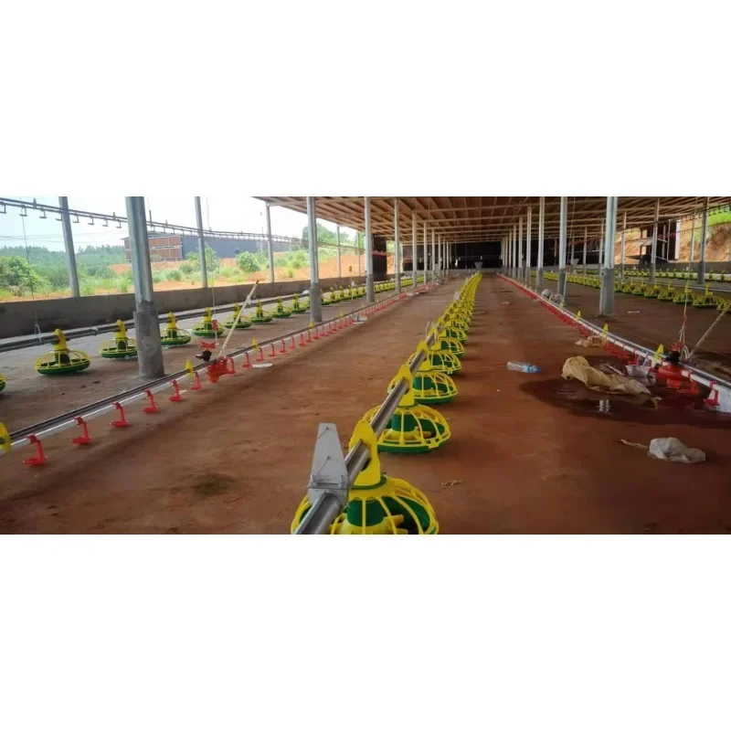 

100m Feeder Line Complete Set / Automatic Chicken Feeding Line HJ-DN100