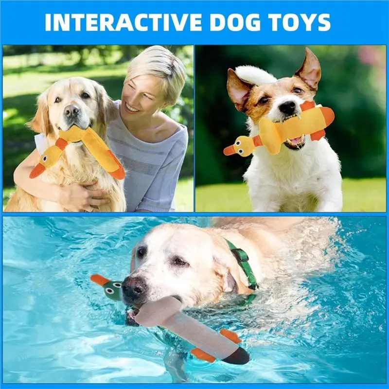 Floating Dog Water Pool 2 Pack For Swimming Pool