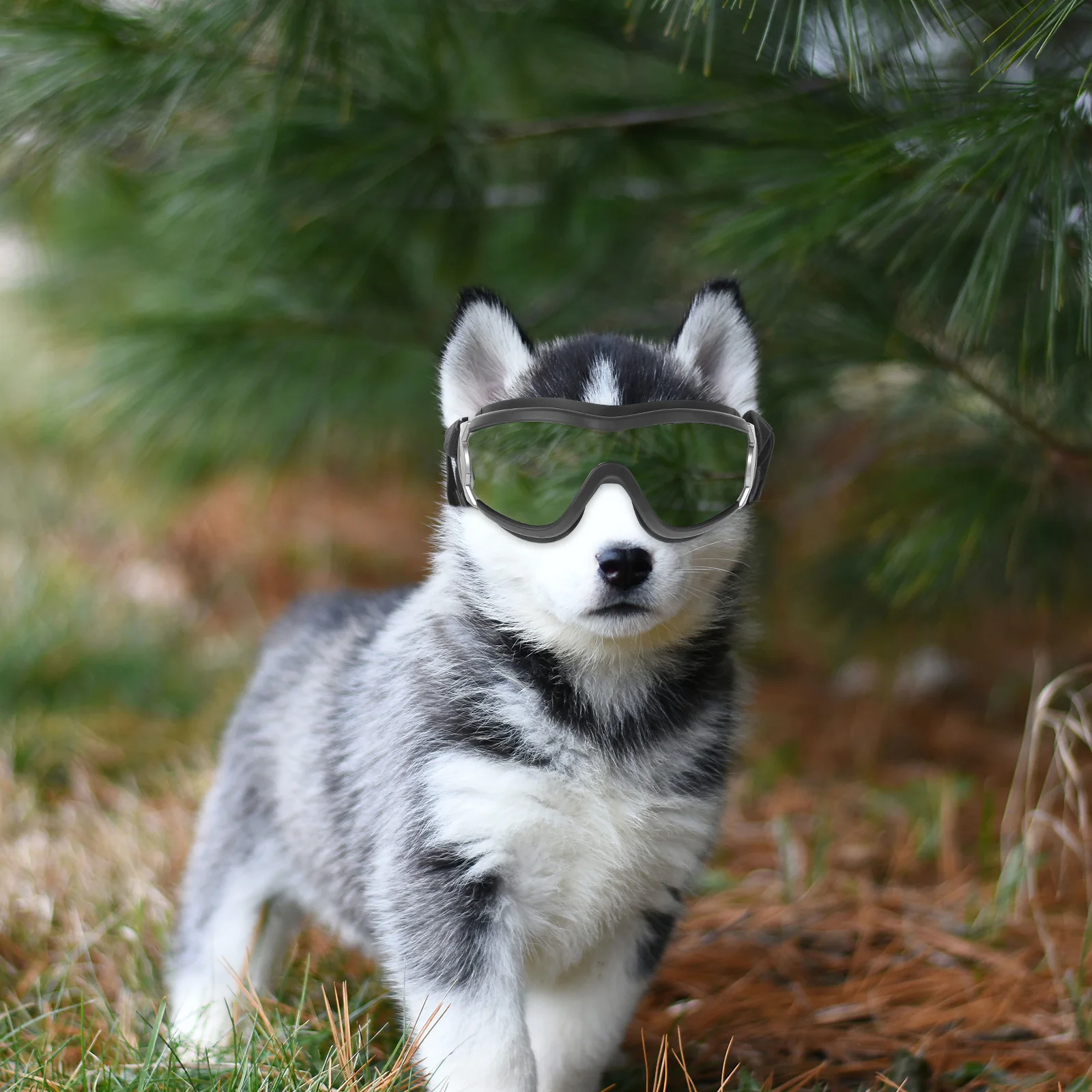 

Dog Puppy Pet Goggles Black Windproof Eye Protective Glasses Anti-Uv Snow Proof Outdoor Eye Shield Outdoor Goggles