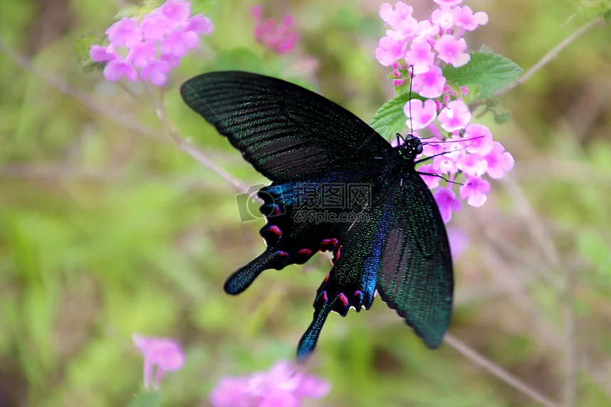 

4 Pcs/2pcs Rear Drive Shaft Steel Driveshaft CVD For 1/10 Trxs Slash Rustler Hoss Stampede VXL 4X4 RC Car