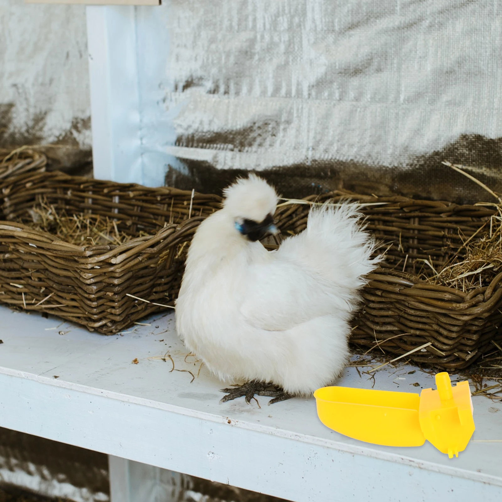 

Double Hanging Water Feeder 10 Sets Chick Plastic Durable Leakproof Poultry Feeding Equipment Pet Supplies Water Bowls