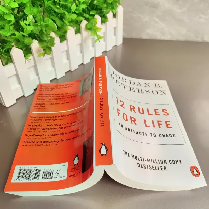 12 Regeln für das Leben von Jordan Peterson – Ein Antidote to Chaos, englisches Buch, Selbsthilfe-Leitfaden für moderne Probleme und persönliche Entwicklung