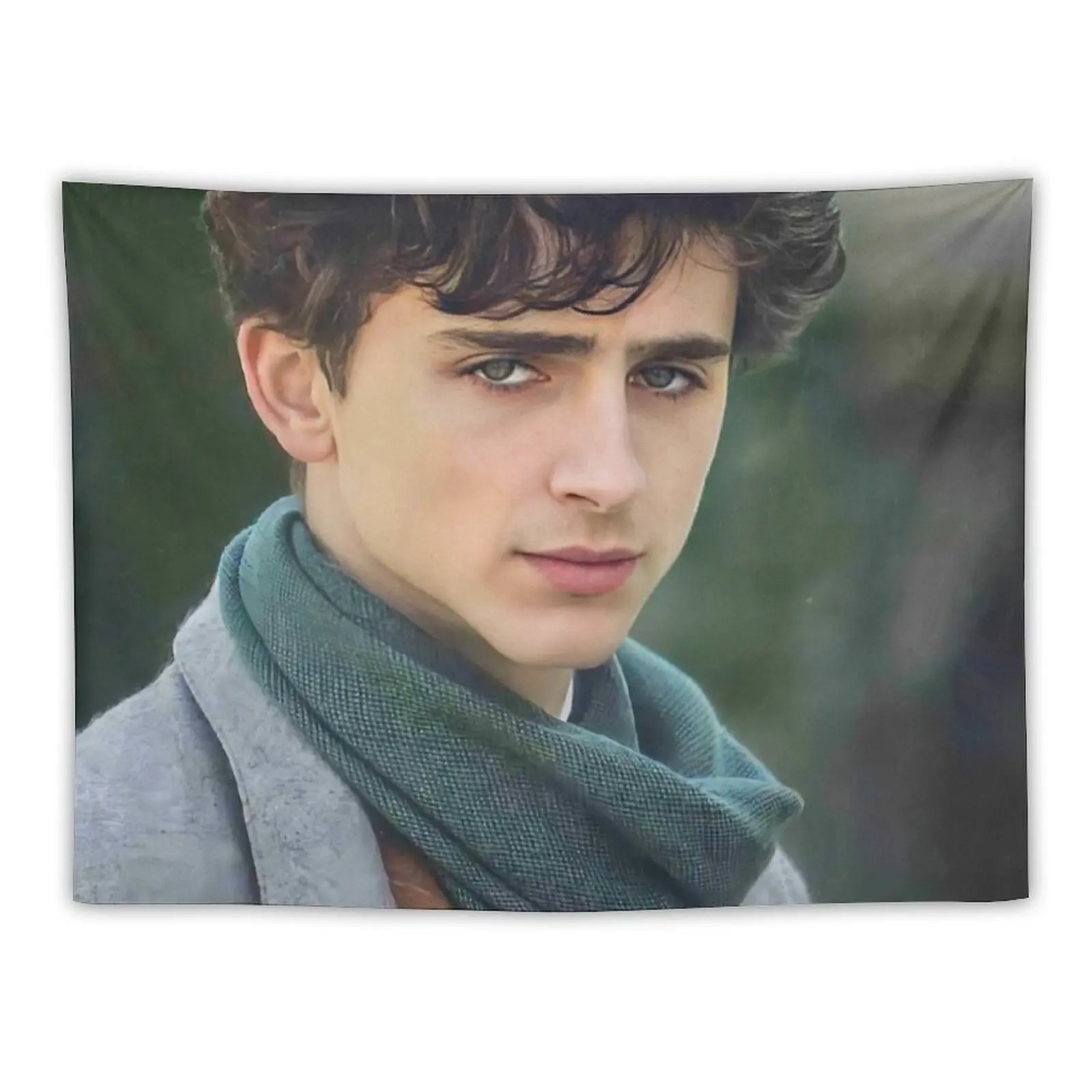 

Timothee Chalamet Little Women Tapestry Wall Decorations Bedroom Deco Wallpaper Bedroom