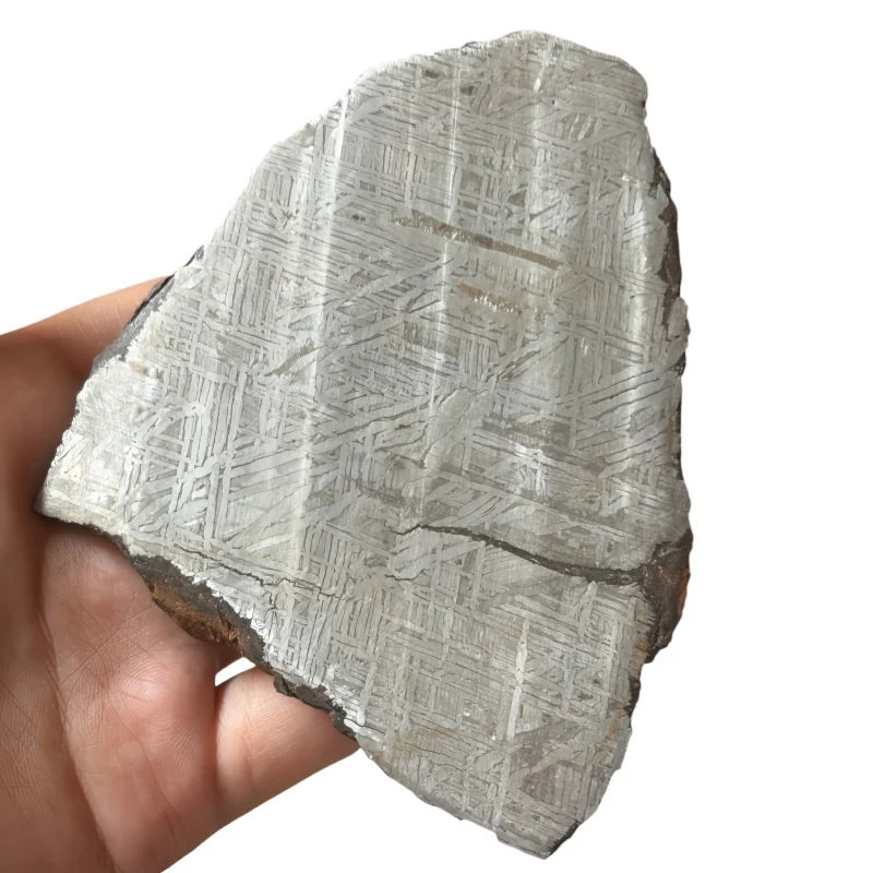342g Muonionalusta Iron Meteorite Specimen Iron Meteorite Slice Natural Meteorite Material Collection - CC223