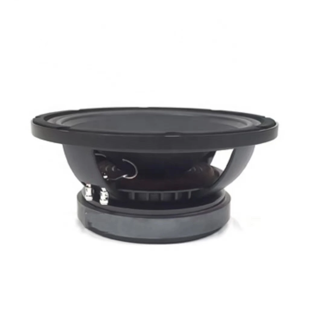 10 inch raw ferrite magnet speaker drivers for professional sound system