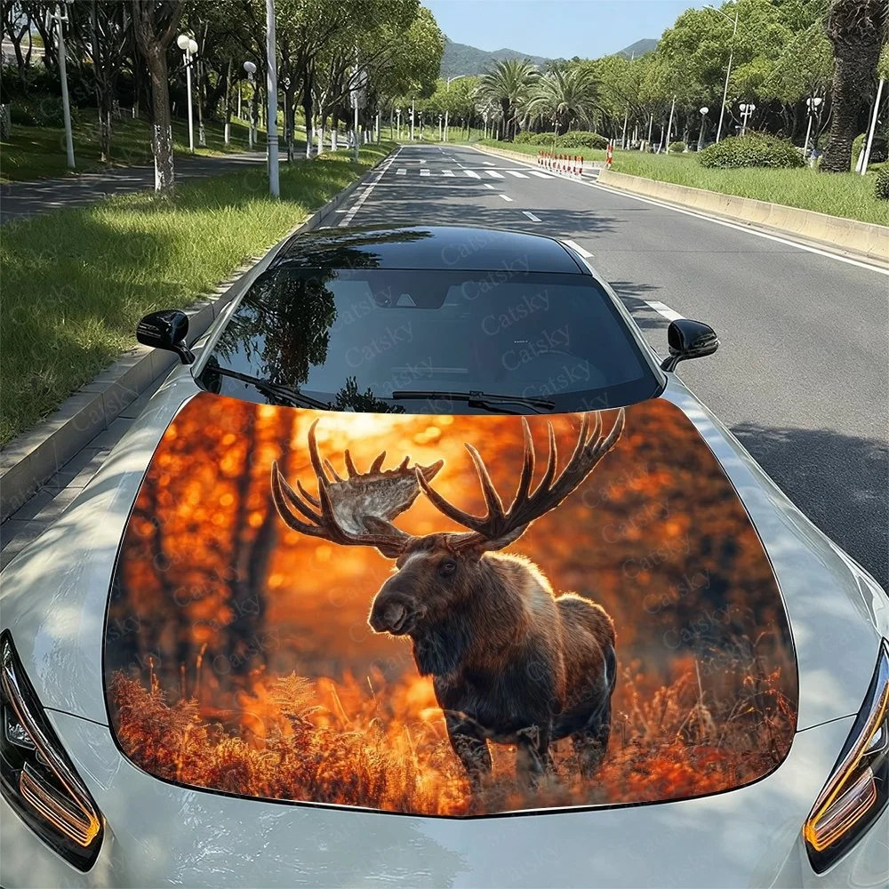 This car hood features a stunning moose in a fiery forest scene, blending nature's beauty with  automotive design.Car parts acce