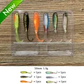 6pcs B10