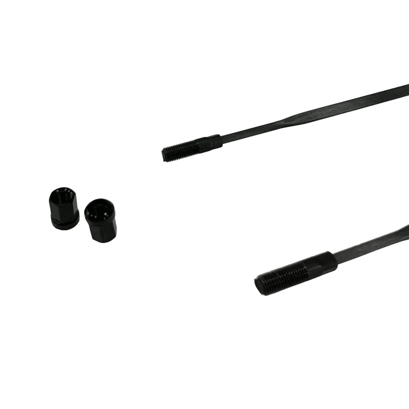 LIENGU カスタマイズされた 21 個ライトカーボンスポークストレートプル 3.2 ミリメートル 3.8 ミリメートル 5.0 ミリメートル平らな幅と無料の黒合金ニップル