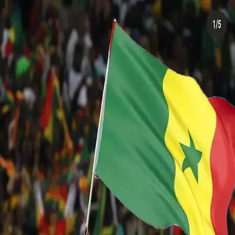 5 Pcs/lot Senegal Flag 90x150cm Senegal Flag wholesale