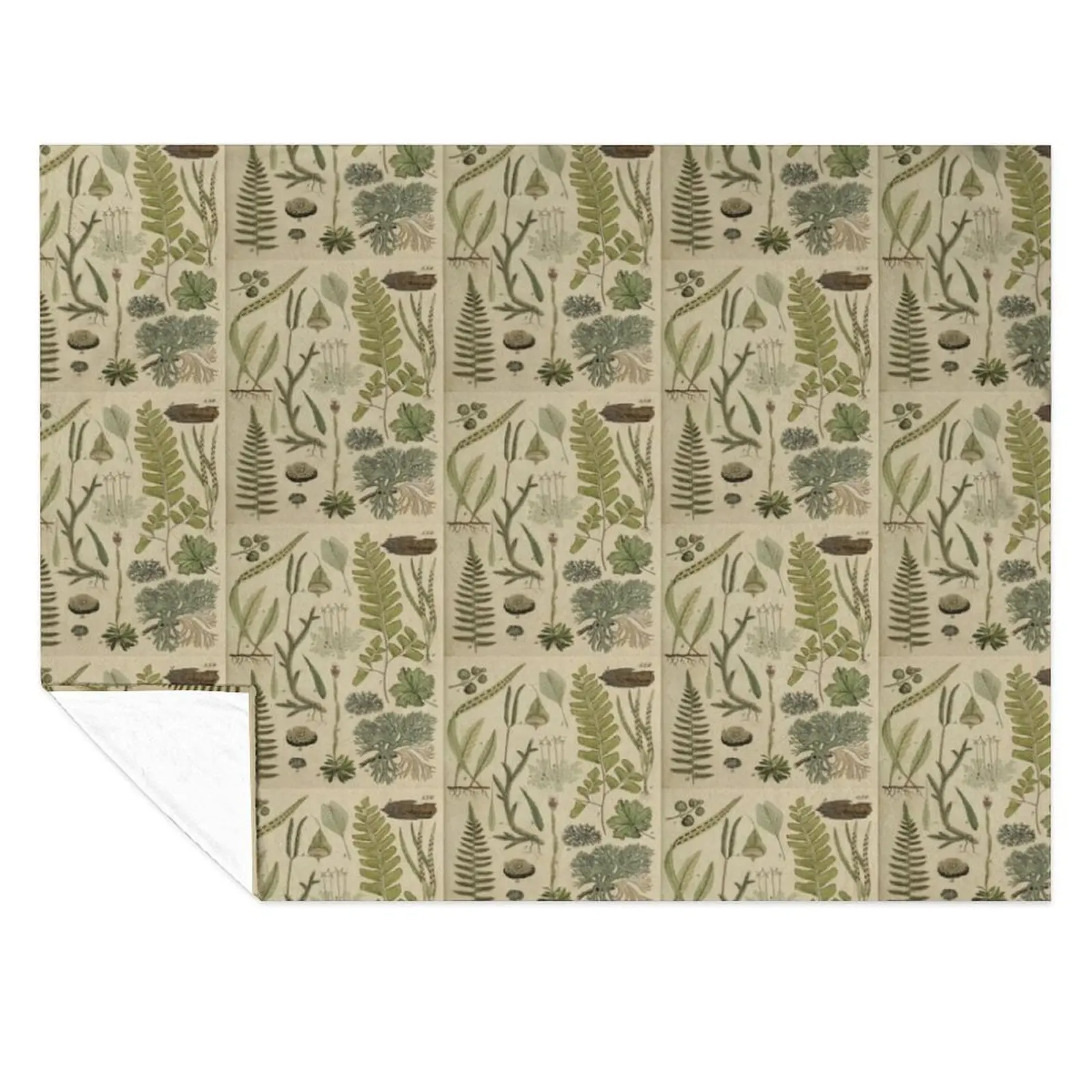 

Ferns And Lichen Throw Blanket Tourist Weighted Luxury Thicken Blankets