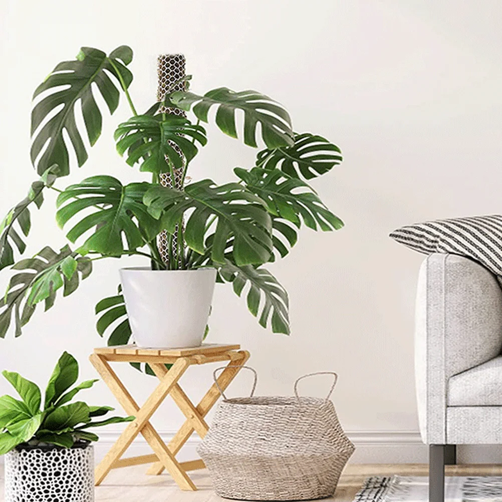 

1 Set Plant Climbing Net For Garden Support Moss Pole Mesh Plastic Gardening Net For Potted Plants Indoor Outdoor Vine Climbing