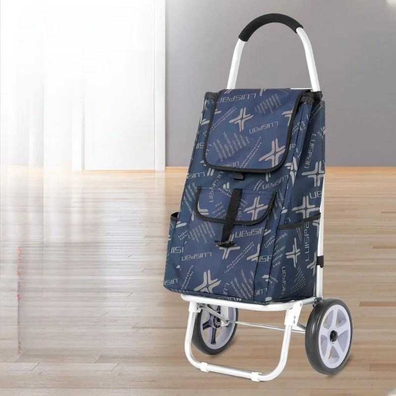 carrello-della-spesa-in-lega-di-alluminio-con-asta-di-traino-per-anziani-carrello-portatile-pieghevole-per-la-spesa-di-verdure